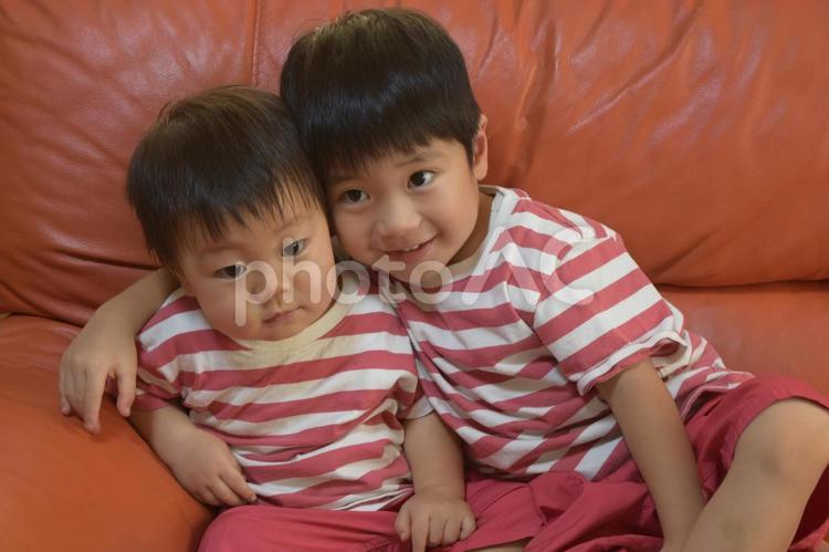 オレンジ色のソファーに座る仲良し兄弟 幼児,男,子供の写真素材