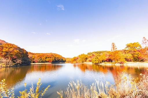 鮮やかな紅葉が広がる湖 鮮やかな紅葉が広がる湖の写真