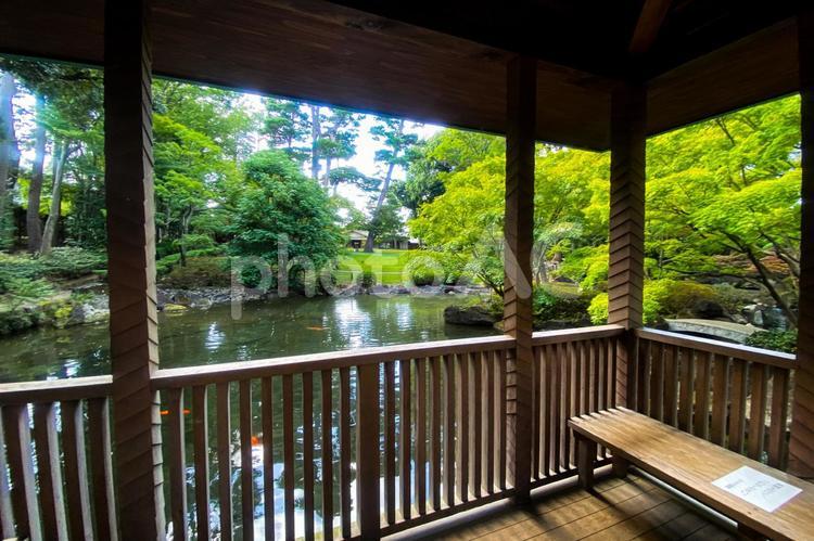 小屋からの日本庭園の風景 日本庭園,池,庭園の写真素材