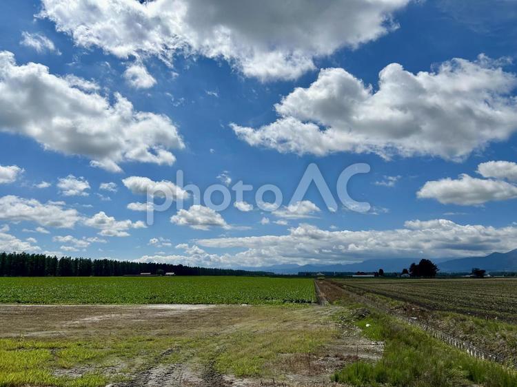 美しい田園風景と空 北海道,風景,景色の写真素材