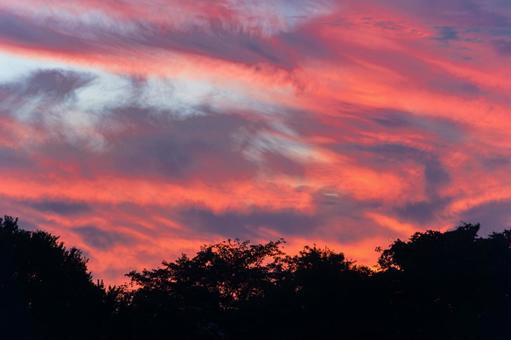 Summer sunrise, JPG