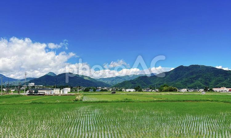 田舎の風景 田舎,田んぼ,田園の写真素材