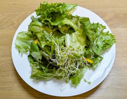 野菜たっぷりレタスサラダ 野菜たっぷりレタスサラダ レタス,サニーレタス,緑黄色野菜の写真素材