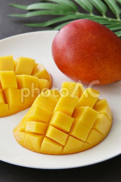 マンゴー　イメージ マンゴー,果物,フルーツの写真素材