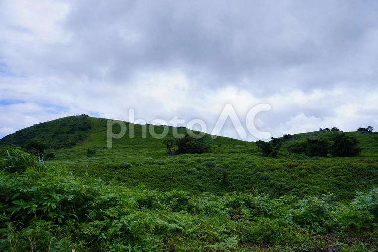 自然の風景 自然,平尾台,風景の写真素材