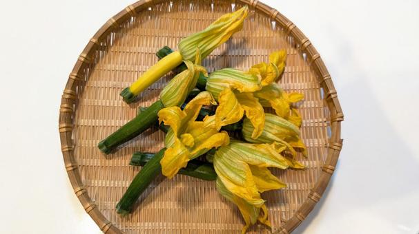 花ズッキーニ ズッキーニ,花ズッキーニ,野菜の写真素材