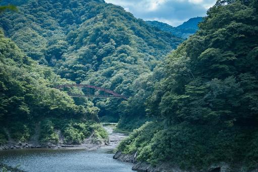 緑の中の橋 緑の中の橋の写真