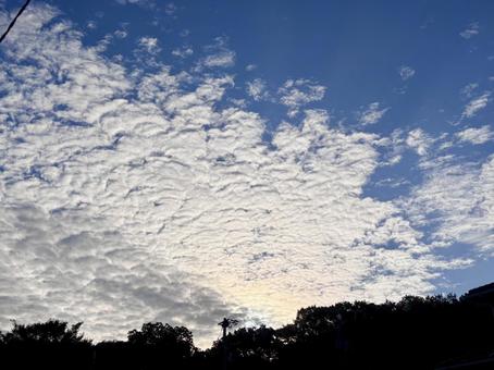 【風景写真】夏空 【風景写真】夏空の写真