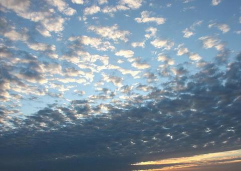 うろこ雲 うろこ雲の写真