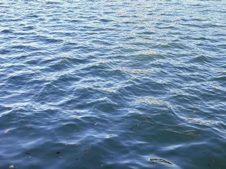 揺らめく青い水面 揺らめく青い水面の写真