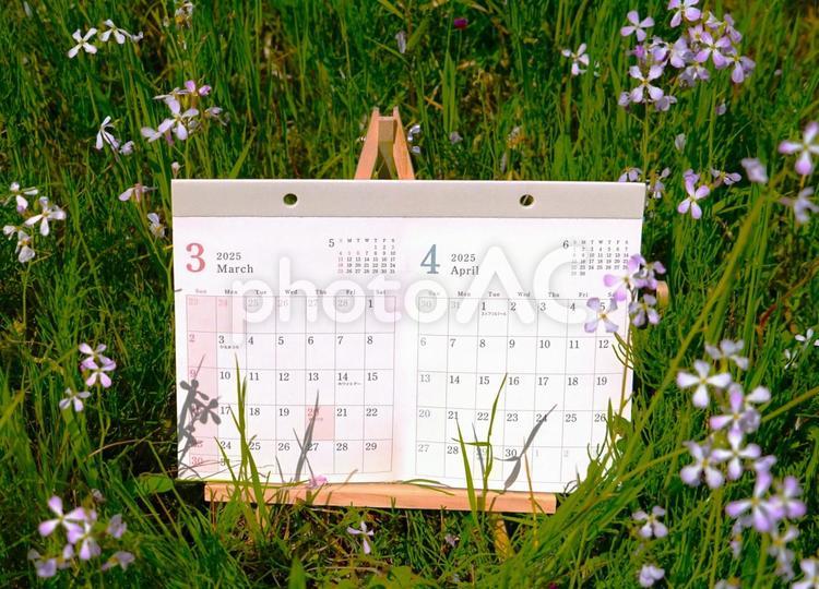 春のカレンダー カレンダー,３月,４月の写真素材