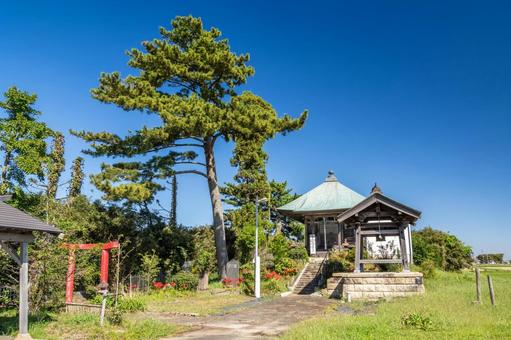 下飯田薬師堂古墳⑴ 下飯田薬師堂古墳⑴ 薬師堂,仏堂,薬師如来の写真素材