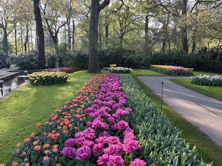 キューケンホフ公園の写真