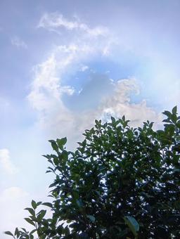 空と雲 空と雲の写真