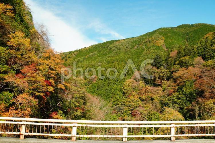 付知峡　攻橋の絶景スポット 絶景スポット,自然,秋の写真素材