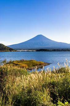 山梨県 河口湖から望む富士山 山梨県 河口湖から望む富士山 富士山,風景,青空の写真素材