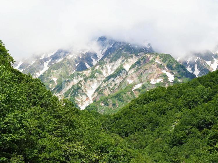 新緑と残雪の北アルプス 長野県,白馬村,残雪の写真素材