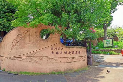 大森貝塚遺跡庭園(品川) 大森貝塚遺跡庭園(品川)の写真