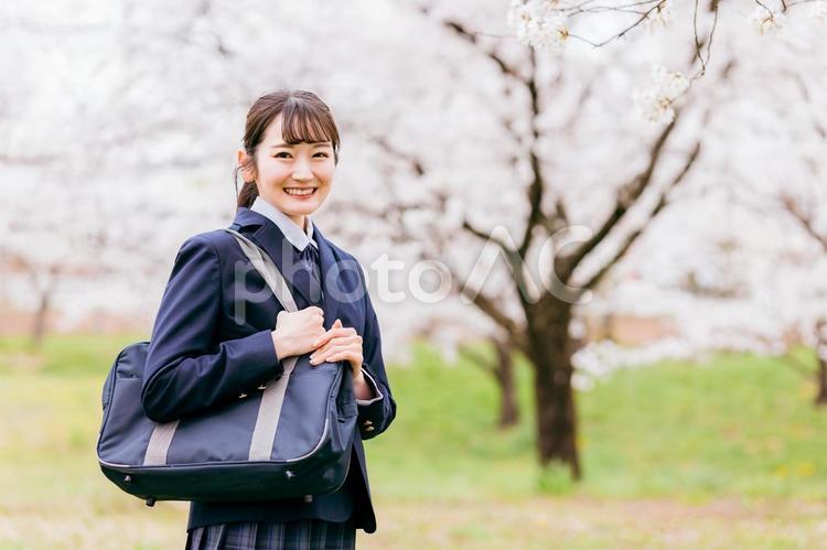 桜の中を歩く高校生・女子高生・女子高校生 通学,新入生,高校生の写真素材