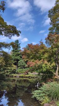 天泉園公園 日本庭園,和風庭園,庭園の写真素材