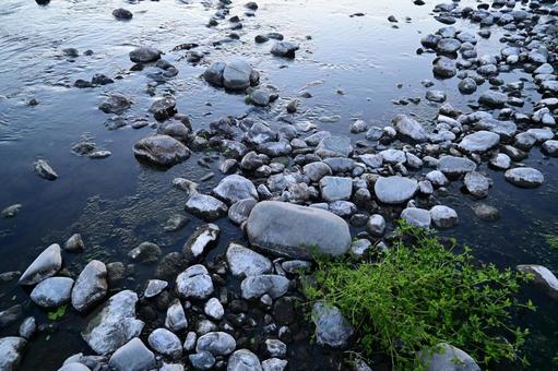河川敷の石2 石,河川敷,河原の写真素材