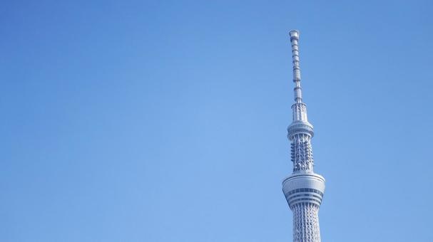 青空とスカイツリー スカイツリー,青空,墨田区の写真素材