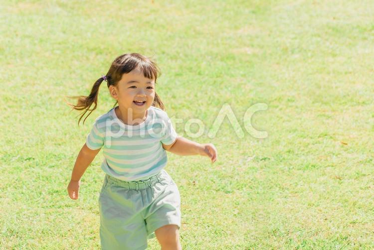 芝生の公園を走る女の子（2歳〜3歳） 子供,走る,笑顔の写真素材