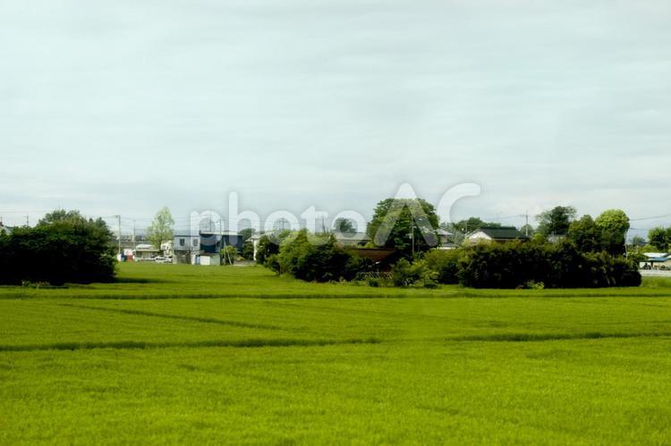 田園風景 背景,田園風景,自然の写真素材