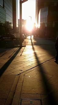 日本橋の日の出 日本橋の日の出の写真