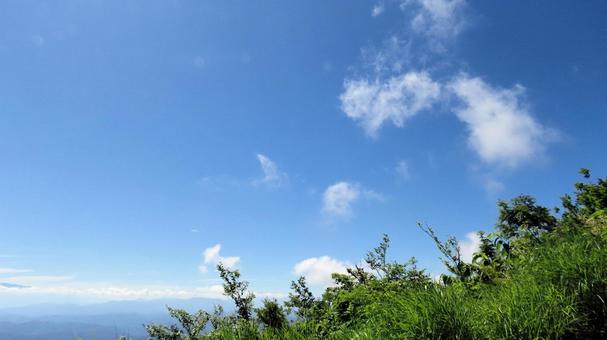 夏の白馬五竜アルプス平自然遊歩道にて 夏の白馬五竜アルプス平自然遊歩道にて 白馬五竜高山植物園,夏山,アルプス平自然遊歩道の写真素材
