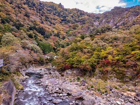 箒川と秋の渓谷 七ツ岩吊り橋,箒川,紅葉の写真素材