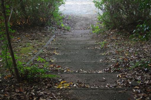 公園の階段と秋の風景　2 公園,階段,山道の写真素材