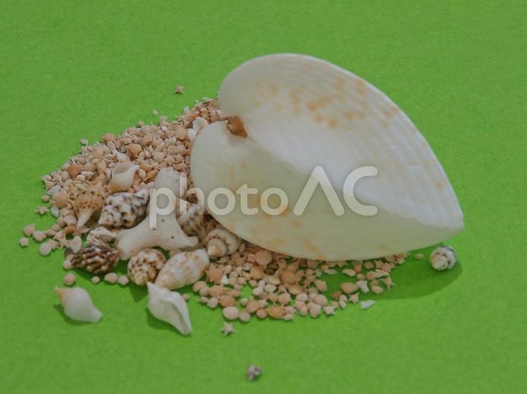 ハート貝と星の砂 ハート貝,貝,貝殻の写真素材