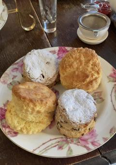 Four scones - raisin and plain, JPG Four scones - raisin and plain, JPG