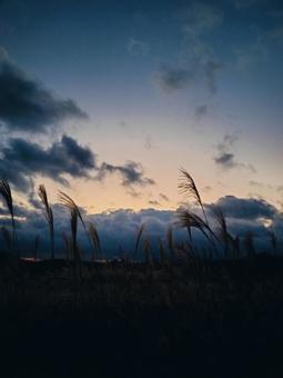 秋の曽爾高原 曽爾高原,ススキ,ライトアップの写真素材