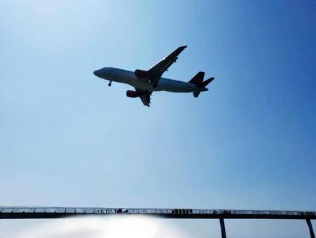 飛行機 飛行機の写真