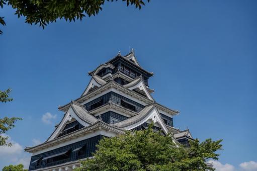 熊本城周辺の景色 熊本城,天守閣,castleの写真素材