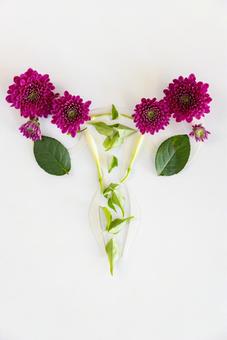 花と葉でできた子宮 生理,月経,子宮の写真素材