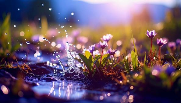 水場 水場の写真