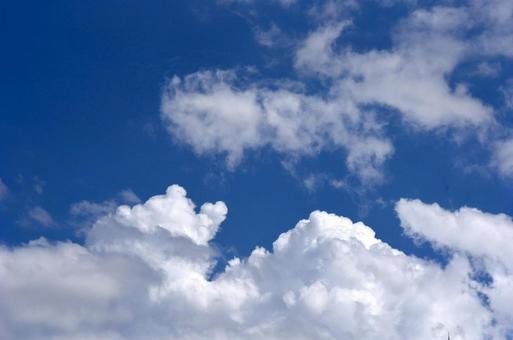 夏の雲 夏の雲の写真