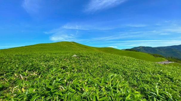 ビーナスライン・三峰山(5) ビーナスライン・三峰山(5) ビーナスライン,三峰山,夏の写真素材