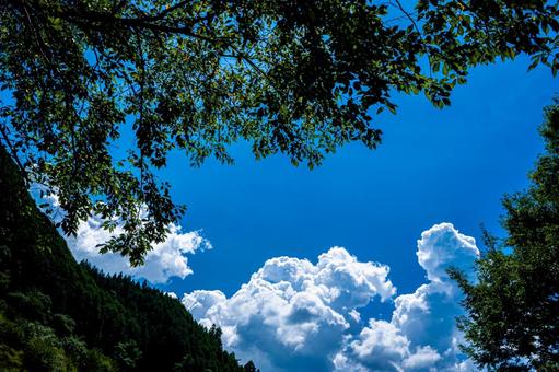 木陰から覗く夏の入道雲 木陰から覗く夏の入道雲 青空,森林,入道雲の写真素材
