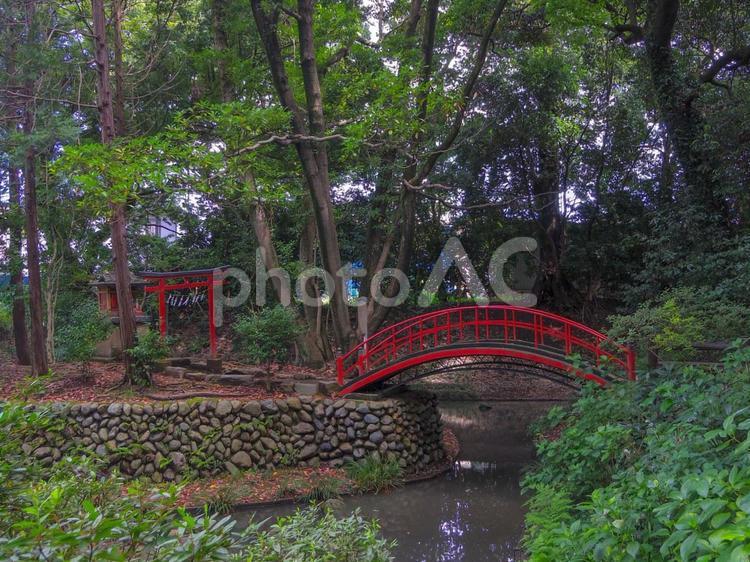 【埼玉県】川越市の喜多院の庭園 埼玉県,川越市,喜多院の写真素材