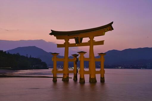 宮島：厳島神社・大鳥居・夕焼け 宮島,厳島神社,日本三景の写真素材