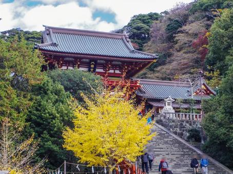【神奈川県】秋の鎌倉市・鶴岡八幡宮 【神奈川県】秋の鎌倉市・鶴岡八幡宮の写真