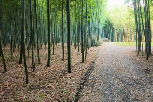若竹の杜 若山農場 若竹の杜 若山農場の写真