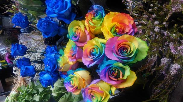 Photo, colorful, rose, market, 