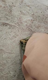 お鼻だけ出してるのにゃ編 猫,ねこ,可愛いの写真素材