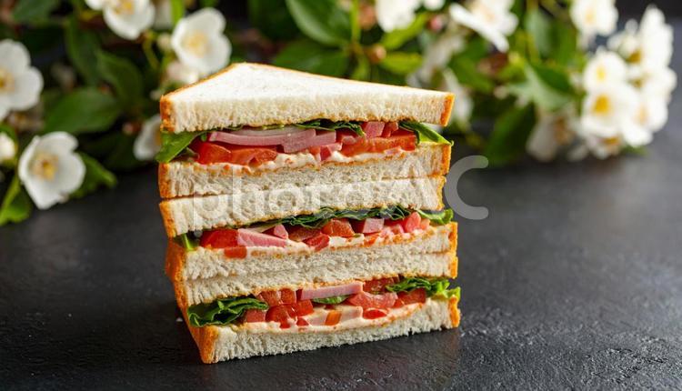 美味しそうなサンドウィッチ サンドウィッチ,サンドイッチ,写真の写真素材