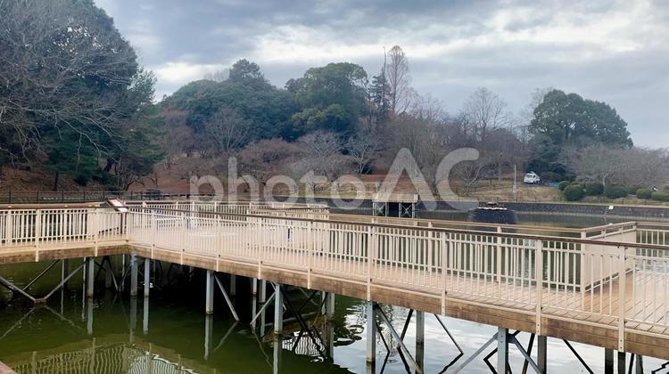 冬の甘木公園 冬,公園,自然の写真素材